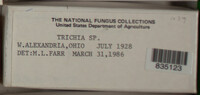 Image Associated With the Occurence
